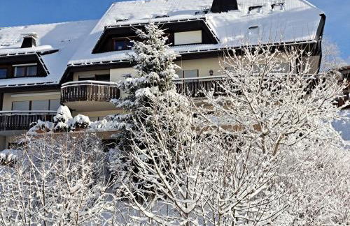La Petite Retraite - Ein Idyll in Todtnauberg - Foto 35