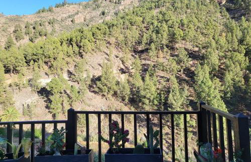 Casa Rural LOS PINARES El Juncal de TEJEDA - Foto 15