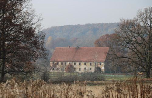 Agroturystyka Dom pod Sową - Foto 16