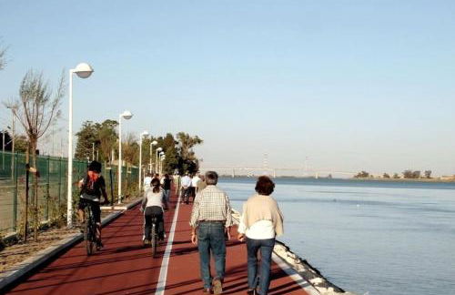 Casa Pássaro - Foto 12