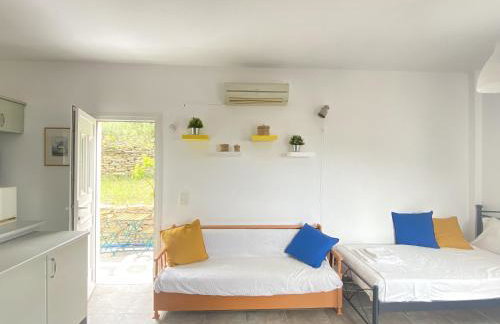 Andros Vineyard house with sea view - Foto 12