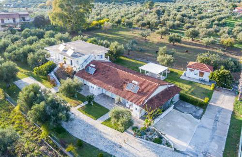 Anastasios Olive Garden Apartments - Foto 77