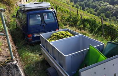 Apartment Lollo - Foto 22