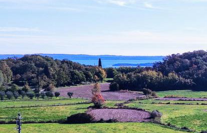 Il Borgo Apartments - Foto 19