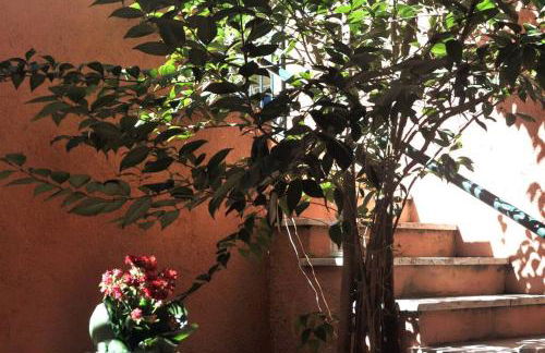 Casa con giardinetto al centro di Roma - Foto 15