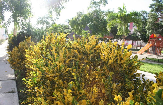 Apartments Paraiso Maya 19-b - Photo 47