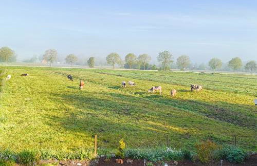 Achim's Moorblick - Foto 9