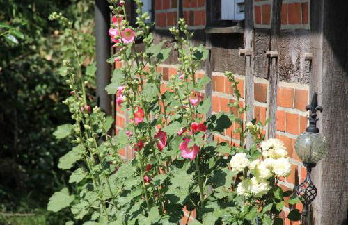 Fachwerk-Treppenspeicher, Ruhe auf dem Land, Haustiere willkommen, Leihfahrräder, 24-7 check in - Foto 35
