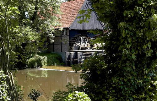 FeWo Grafschaft - Foto 31