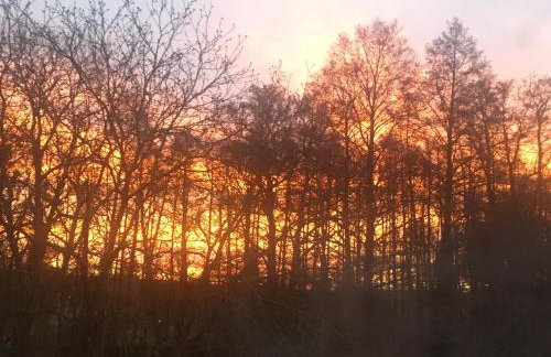 Domek na wsi Mokosz - Photo 28