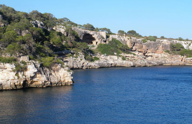 Villa Flor - Foto 24