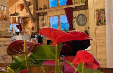 Ferme savoyarde rénovée 2 chambres - Foto 20