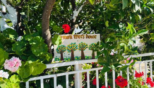 Lemon tree's house - Foto 4, Garden