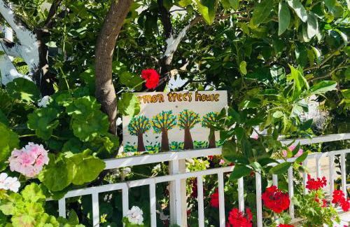 Lemon tree's house - Foto 4