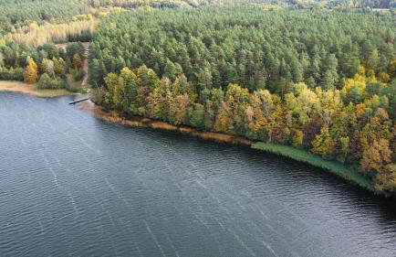 Zakole Brdy - Foto 66