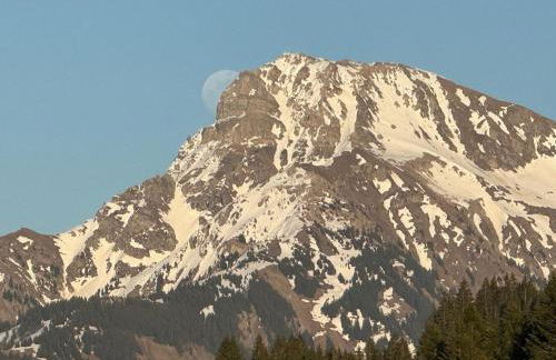 2-bed appt 20 mins from Morzine Portes du Soleil French Alps - Foto 51