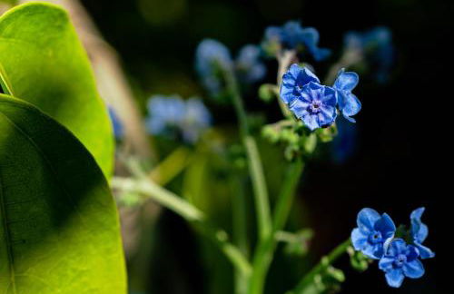 Chalé Flores e Amores - Photo 66