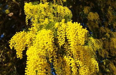 Casa La Aurora - Foto 15