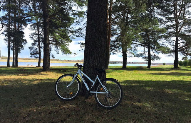 Green Gold Park - Foto 38