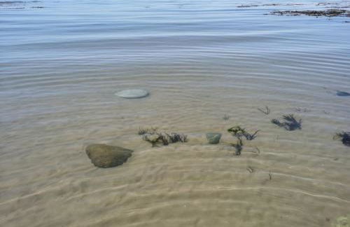 Hiking in Snowdonia? Sea, beach and mountains view - Photo 97