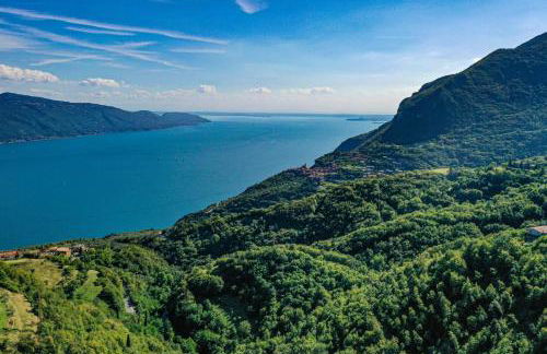 Malga Mary - Foto 66