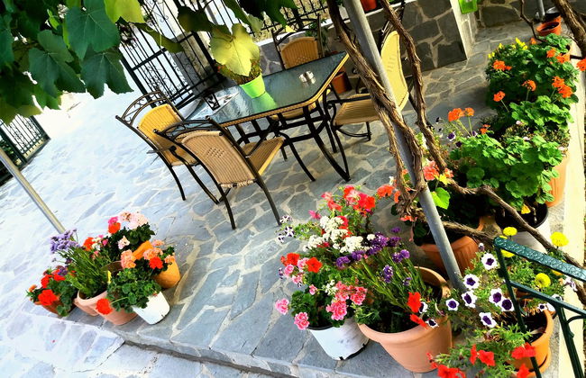 Ziogas Luxury Apartment's - Foto 47