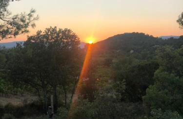 Mon petit coin de paradis - Foto 5