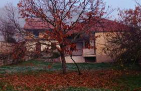 Village perfume - Photo 6