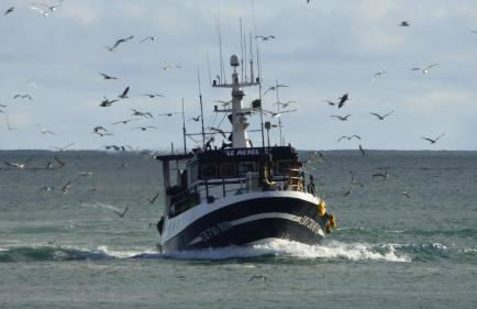 Ma Chaumiere - Foto 47