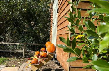 The little shepherds hut - Foto 7