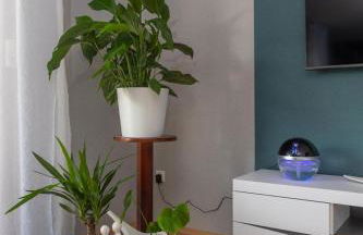 Ferienwohnung Mia Frankenau - Foto 11