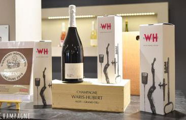 Les Bulles Blanches - Foto 29