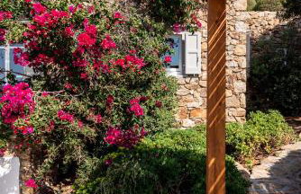 Villa Artisti Mykonos - Photo 19