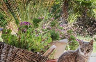 Le 3 Rose apartments - Foto 20