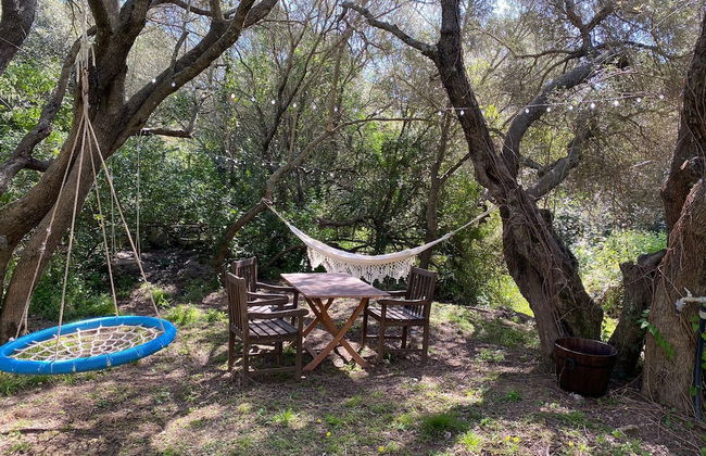 Agriturismo Lu Branu - Photo 44