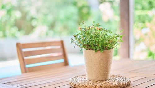 Villa Ravell - Foto 5