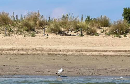 Sogno di mare - Foto 21