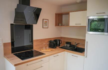 KoonTy : Chambres et Appartements à Landerneau - Foto 111