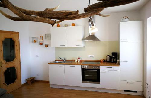 Ferienwohnungen Wiesbauer - Foto 56