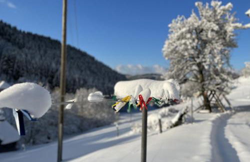 Jungbauernhof - Foto 11