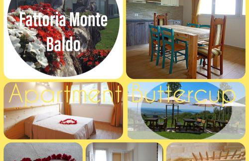 Agriturismo Fattoria Monte Baldo VISTA LAGO - Foto 39