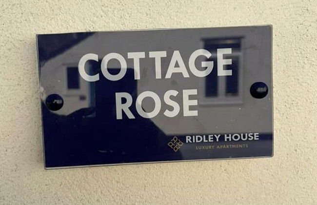 Ridley House Apartments - Photo 29