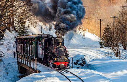 Apartament z tarasem i pokoje KLIMATYZOWANE -Drozdówka Solina - Foto 64