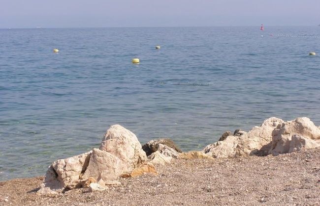 Apartment Tulip - Foto 15