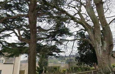 Forest view - Foto 6