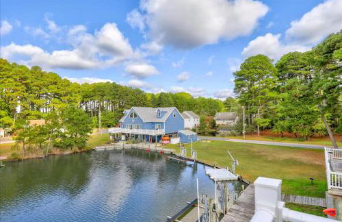 Coastal Crab - Foto 29