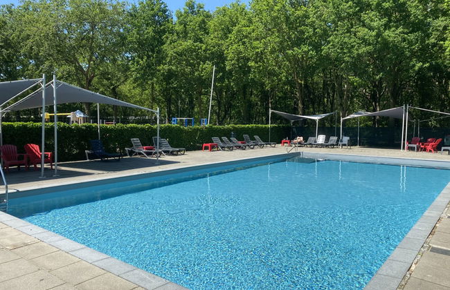 3 bedroom House in Udenhout with swimming pool and garden - Photo 4