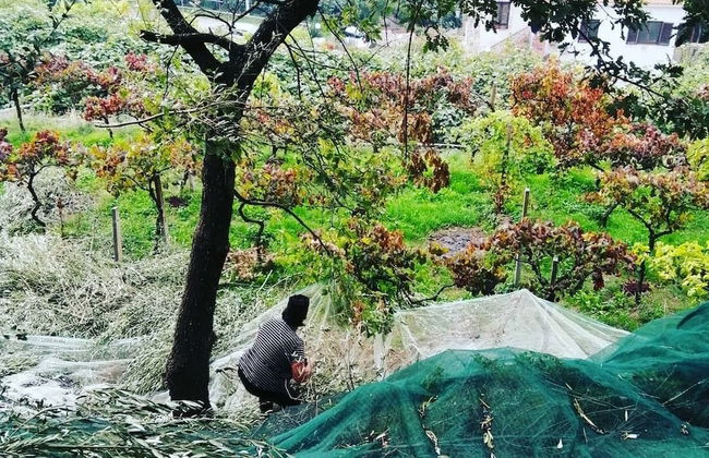 Agriturismo Castanito - Foto 34