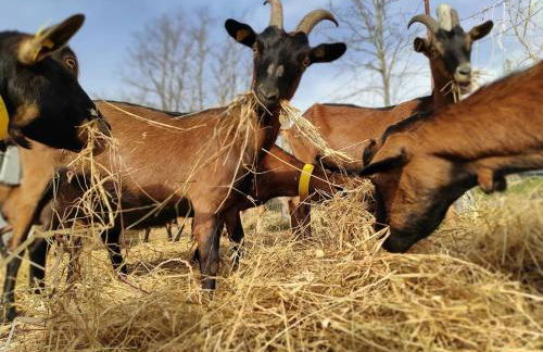 Agriturismo Podere Asche - Photo 33