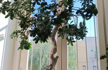 B&B San Francesco - Foto 3